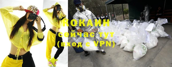 МДПВ Няндома